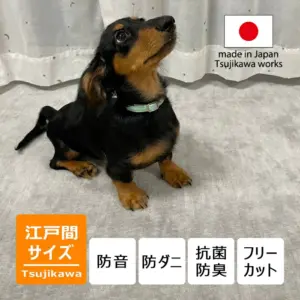 防音ペットもよろこぶカーペット
